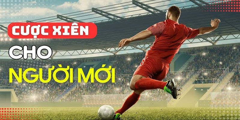 Hướng dẫn đánh Multiple Bets đối với người mới chơi